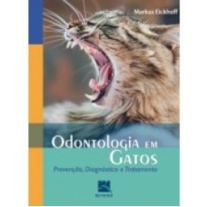 Odontologia em gatos 